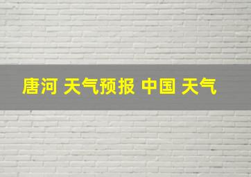 唐河 天气预报 中国 天气